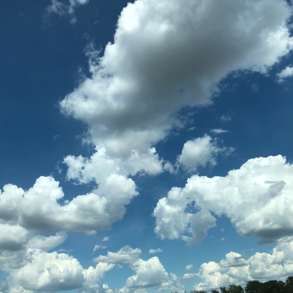 Meet your Posher, Sharon